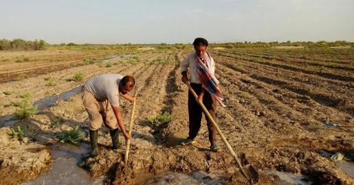 Iranian Nano Fertilizers: A Solution for Water Scarcity in Middle Eastern Agriculture