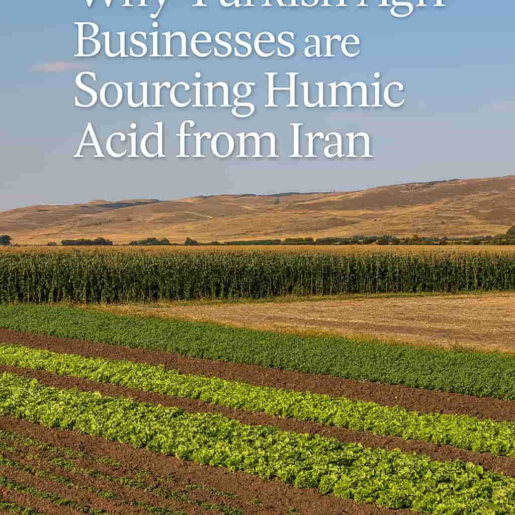 Why Turkish Agri-Businesses are Sourcing Humic Acid from Iran