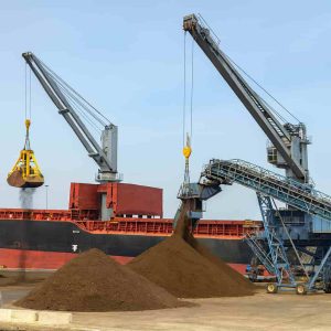 Bulk Export Explained: Our Process for Shipping Chicken Manure by Sea