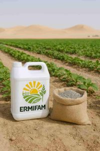 How Desert Nations Cut Water Usage 40%: Nano-Technology Farming Success in Qatar