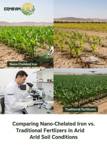 Comparing Nano-Chelated Iron vs. Traditional Fertilizers in Arid Soil Conditions